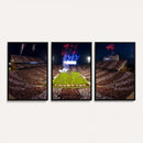 Oklahoma Memorial Stadium Wall Art Canvas Print – Oklahoma