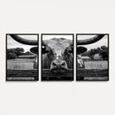 Black White Texas Longhorn Bull Canvas Wall Art, Western Ranch Cattle Photography Print, Rustic Farmhouse Cowboy Decor Artwork