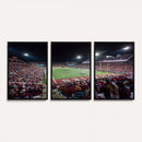 Mississippi State Bulldogs Stadium Wall Art Canvas Print –