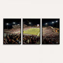 Washington-Grizzly Stadium Canvas Wall Art – Exciting Game