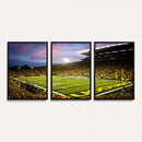 University of Oregon Ducks Football Team Print - Eugene
