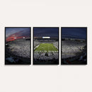 Penn State University Nittany Lions Football Team Print -