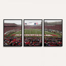 Wisconsin Badgers Team Print Canvas - Madison Camp Randall