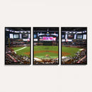Arizona Diamondbacks Baseball Team Print - Phoenix Chase