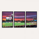 Philadelphia Phillies Baseball Team Print - Philadelphia