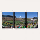 University of Missouri Tigers Football Team Print - Columbia