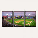 Chicago White Sox Baseball Team Print Canvas- Guaranteed