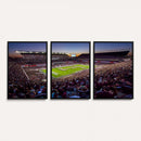 Texas A&M University Aggies Football Team Print - College