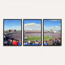 Buffalo Bills NFL Football Team Print - Buffalo Highmark