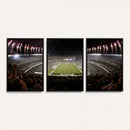 Eagles Field Stadium Wall Art - Philadelphia Eagles Football