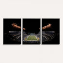 Eagles Field Stadium Wall Art | Philadelphia Eagles Football