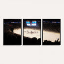 Canada Life Centre Wall Art | Winnipeg Jets Hockey Team