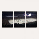 Honda Center California Anaheim Ducks Hockey Stadium Wall