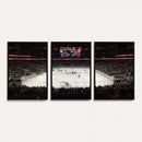 T Mobile Arena Paradise Nevada Vegas Golden Knights Ice