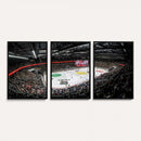 Vaudoise Lausanne Ice Hockey Arena Stadium Wall Art Canvas,