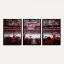 Carolina Hurricanes Ice Hockey Stadium Wall Art, Carolina