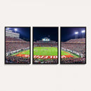 NC State Wolfpack Canvas Print - Raleigh Carter-Finley