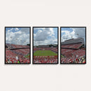 NC State Wolfpack Football Team Print Canvas- Raleigh
