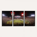 Framed Florida State Seminoles Football Team Print -