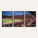 Wisconsin Badgers Football Team Print - Madison Camp Randall