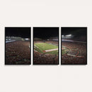Wisconsin Badgers Football Team Print - Madison Camp Randall
