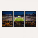 Pittsburgh Panthers Football Team Print - Pittsburgh
