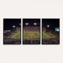 Demon Deacons Print Canvas, Football Team Print -