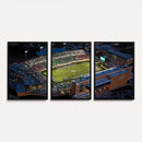 University of North Texas Mean Green Football Artwork,