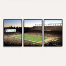 Darrell K Royal-Texas Memorial Stadium Canvas Wall Art -
