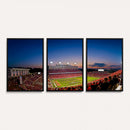 Wolfpack Football Team Wall Art Print - Raleigh