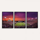 East Carolina University Pirates Football Print Canvas-