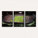 Florida Atlantic University Owls Football Team Print - Boca