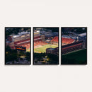 University of Illinois Fighting Illini Football Team Print -