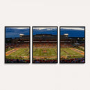 University of Illinois Fighting Illini Football Team Print -