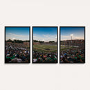 University of Charlotte 49ers Football Team Print -