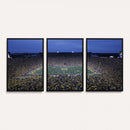 University of Michigan Wolverines Football Team Print - Ann