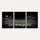 Cincinnati Bearcats Football Team Print - Nippert Stadium