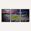 Penn State Nittany Lions Football Team Print - University