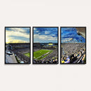 Framed USF Bulls Football Team Print - Tampa Raymond James