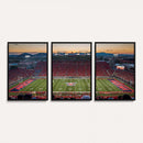 Arizona Wildcats Football Team Print - Tucson Arizona