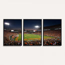 Clemson University Tigers Art Print, Football Team Print -