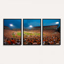 Clemson University Tigers Football Team Print - Clemson