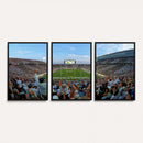 Michigan State Spartans Football Team Art Print - East