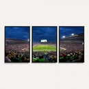 Michigan State Spartans Football Team Print - East Lansing