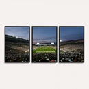 Michigan State Spartans Football Team Print - East Lansing