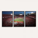 Ohio State University Buckeyes Football Team Print -