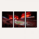 Ohio State University Buckeyes Football Team Print -