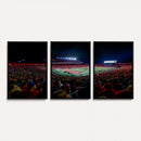 Rutgers Scarlet Knights Football Team Print - SHI Stadium,