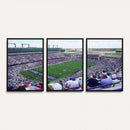 The Texas Christian University TCU Horned Frogs Football