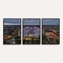 The Louisiana State University Tigers Football Team Print -